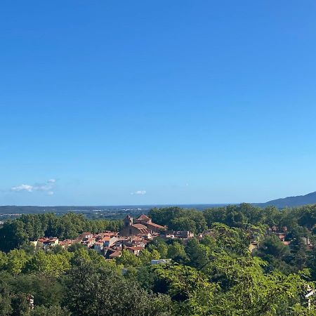Sculptors Retreat Διαμέρισμα Céret Εξωτερικό φωτογραφία